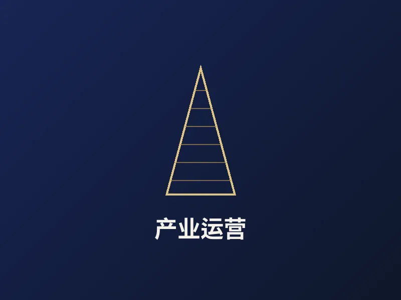 产业运营服务